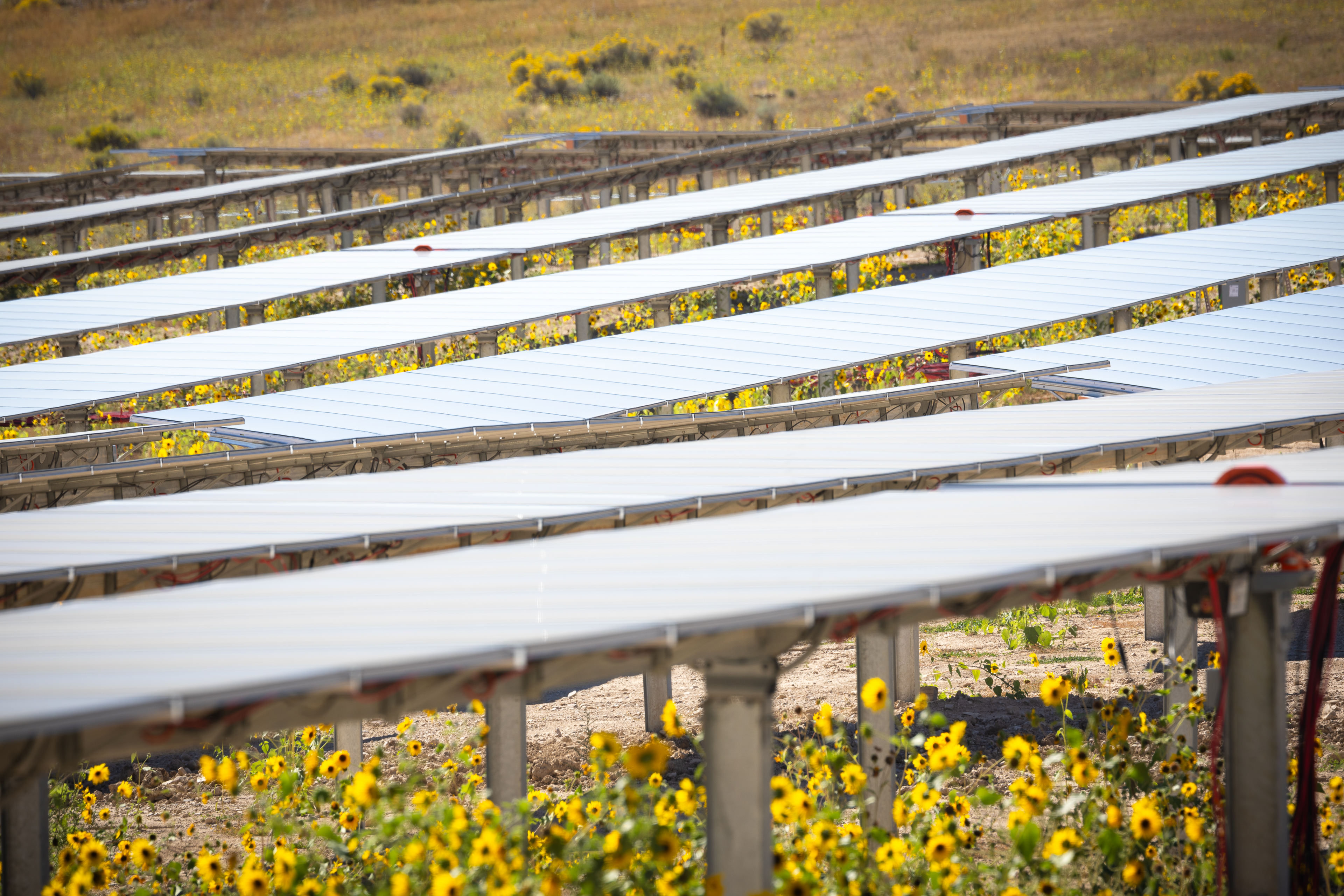 Solar panels at Kennecott. Courtesy of Rio Tinto.